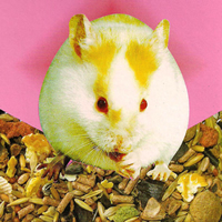 EB Cocktail Premium Hamster, 350 g